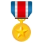🎖️
